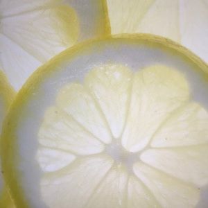 Meet your Posher, Donavan